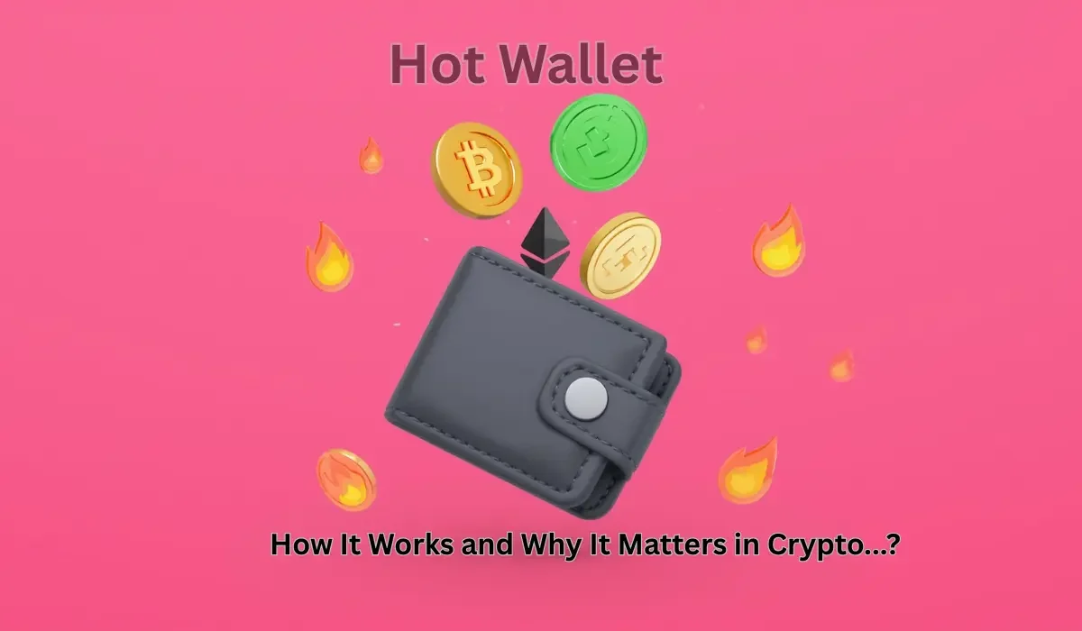 Hot Wallet